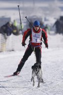 Lenk 2013